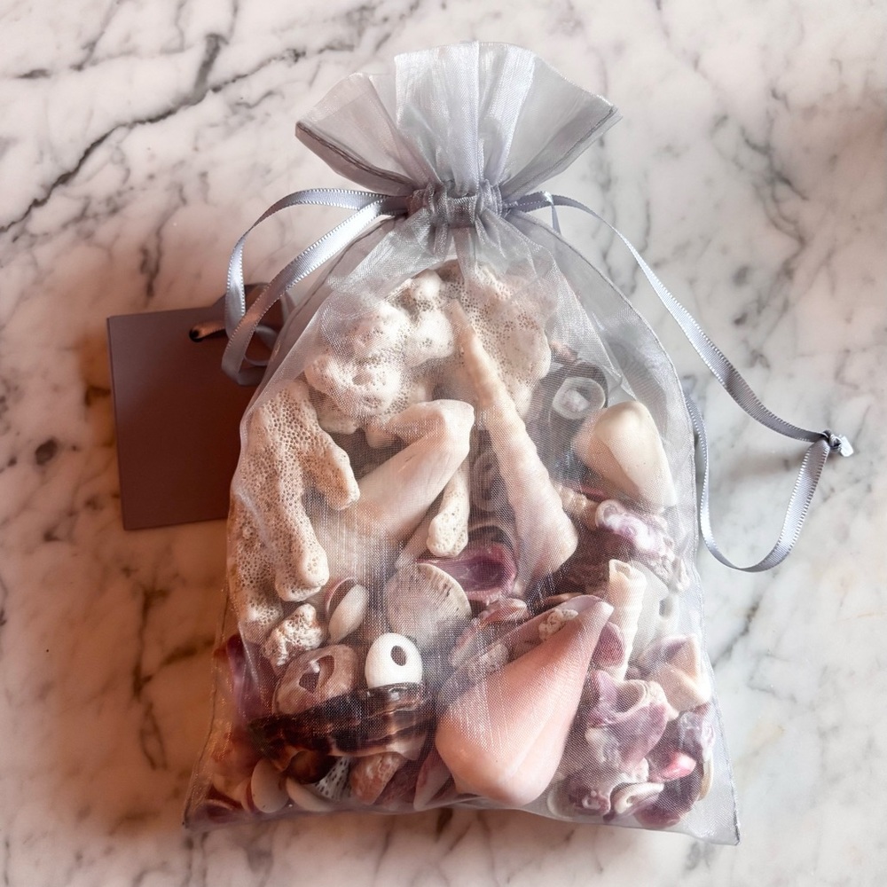 Sea Shell and Coral Collection